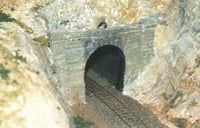 LONG GULLY TUNNELL MOUTH  ONE ONLY @ $6.00 NEW FINANCIAL YEAR OFFER